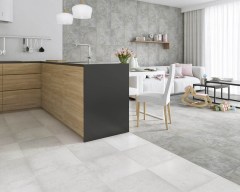 Paradyz Proteo