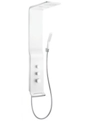 hansgrohe_raindance