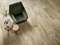 ragno_woodmania_3