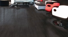 rondine_contract_1