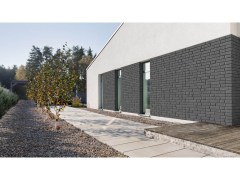 stegu_2025_113
