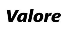 valore_logo_240x2404