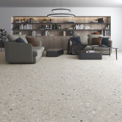 Vives Pangea