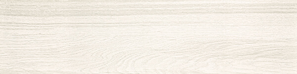 20190121_2.jpg