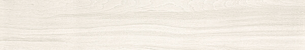 20190121_7.jpg