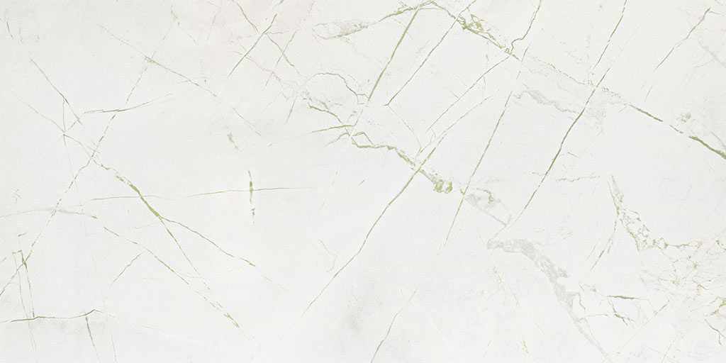 arte_rainforest_01.jpg