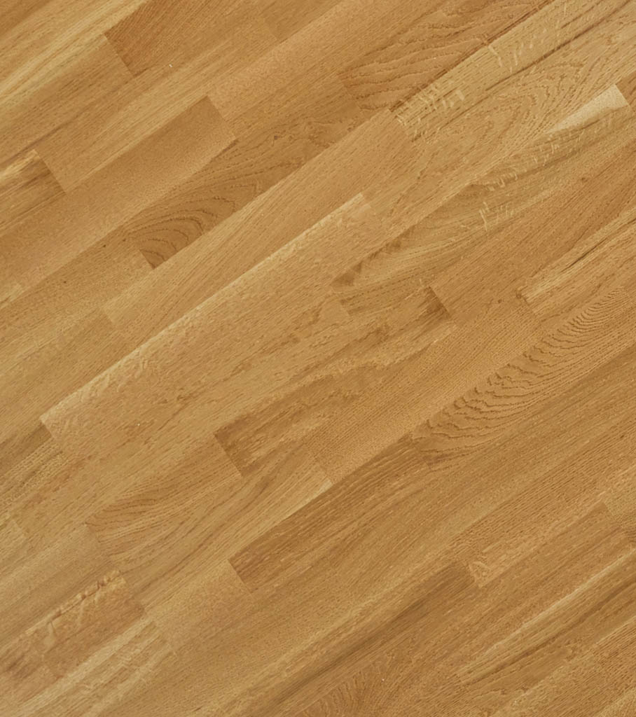 befag_2025_50.jpg