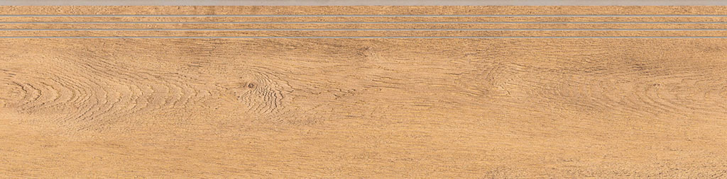 cerrad_20240119_62.jpg