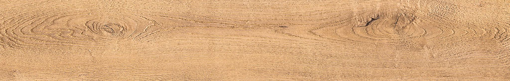 cerrad_20240119_63.jpg