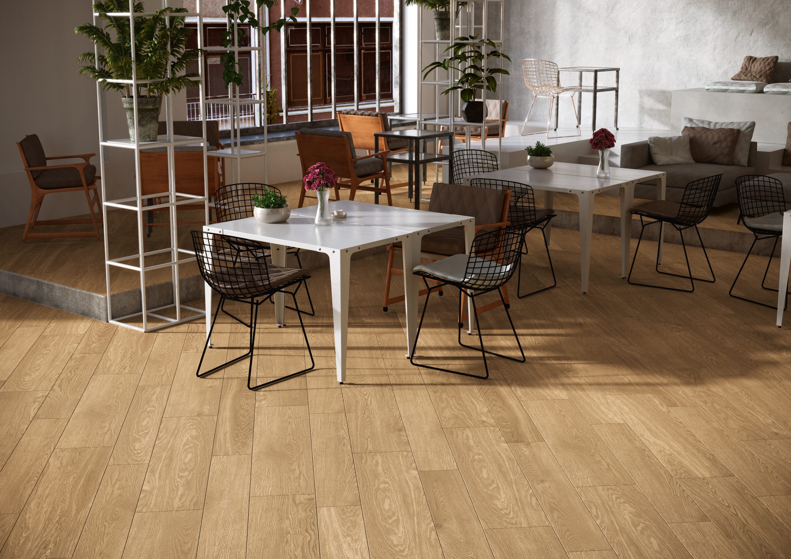 herberia-rovere3.jpg