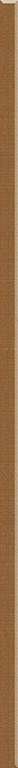 Paradyz Uniwersalna Listwa Brown dekorcsík 2,3 x 60