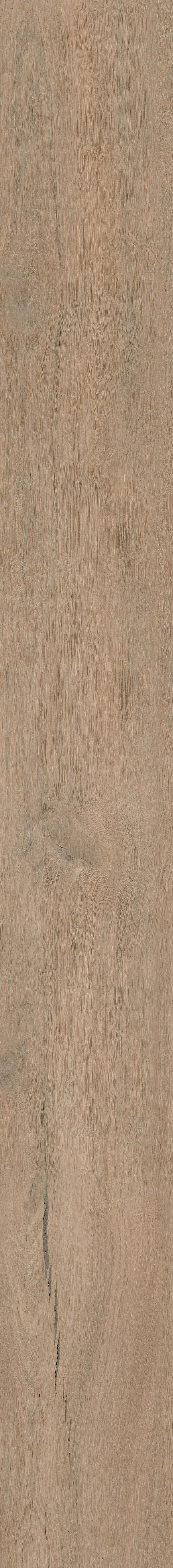paradyz_soulwood_04.jpg
