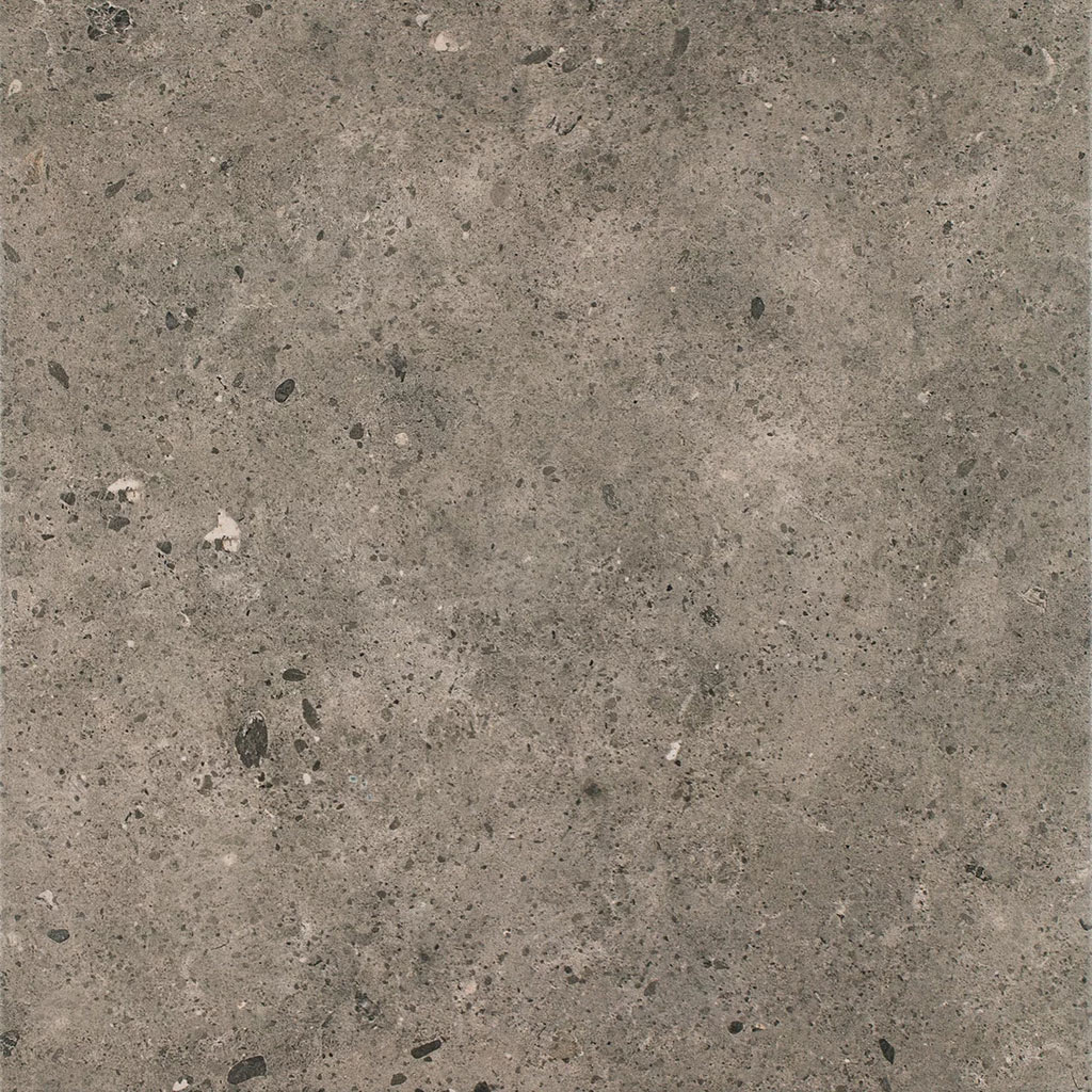 paradyz_starlight_02.jpg