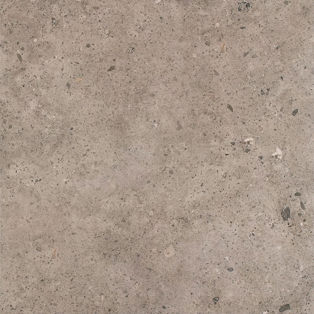 paradyz_starlight_05.jpg