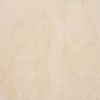 20190121_25.jpg
