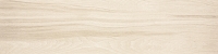 20190121_3.jpg