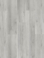 arbiton_2025_50.jpg