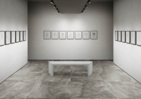 arpa_topstone_6.jpg