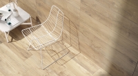 castelvetro_woodland_3.jpg