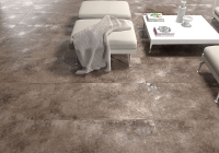 cercasa_evolution_2.jpg