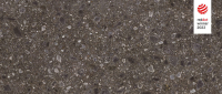 cerrad_20240119_83.jpg