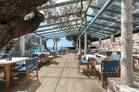 cottopetrus_outdoor4_8.jpg