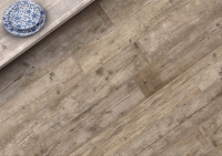crz64_kauri_1.jpg