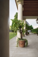 marazzi_appeal_10.jpg
