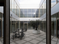 marazzi_sentieri_004.jpg