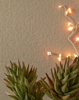 mutina_dechirer_5.jpg