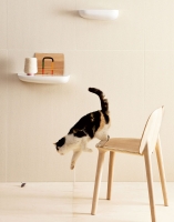 mutina_pico_6.jpg