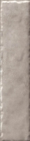paradymonpelli_01.jpg