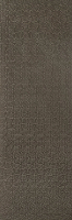 paradyz_noisywhisper_06.jpg