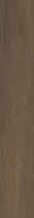 paradyz_spacewood_01.jpg