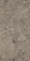 paradyz_starlight_01.jpg