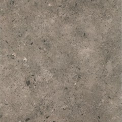 paradyz_starlight_02.jpg