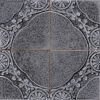 peronda-fsjaipur2.jpg