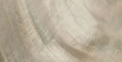 Roberto Cavalli Bright Pearl Bronze padlólap 80x180 cm