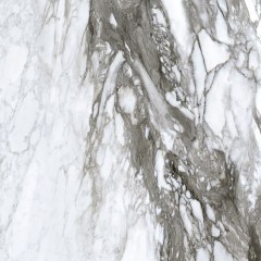 Roberto Cavalli Lush Calacatta Renoir falicsempe és padlólap 119,2x119,2 cm