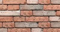stegu_2025_110.jpg