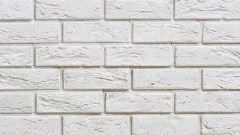 stegu_2025_276