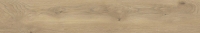 taigabe.jpg