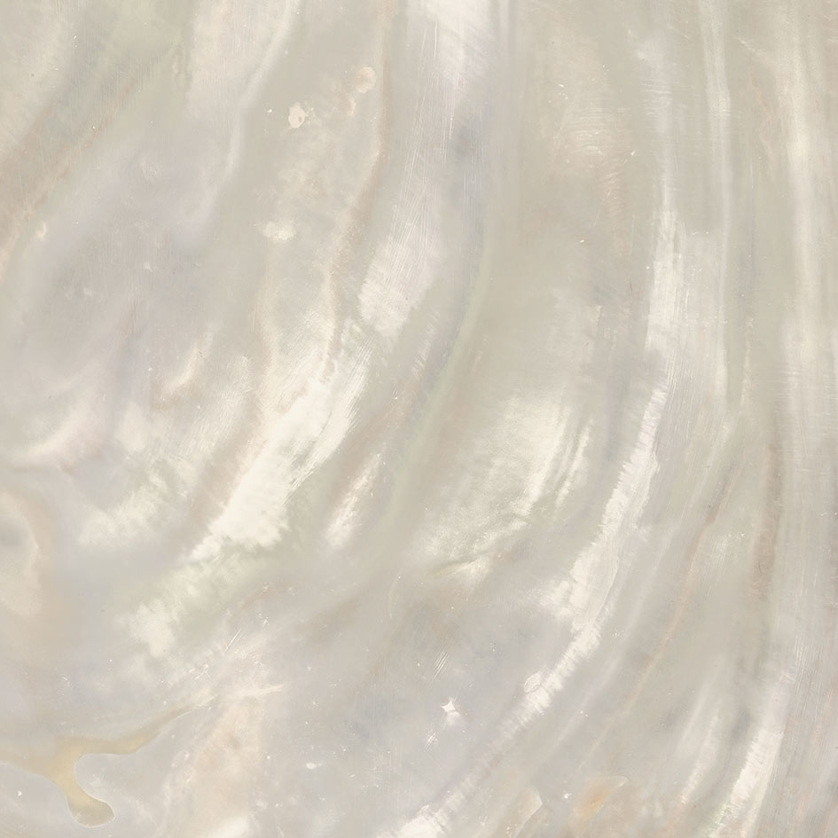 Roberto Cavalli Bright Pearl Ivory padlólap 80x80 cm