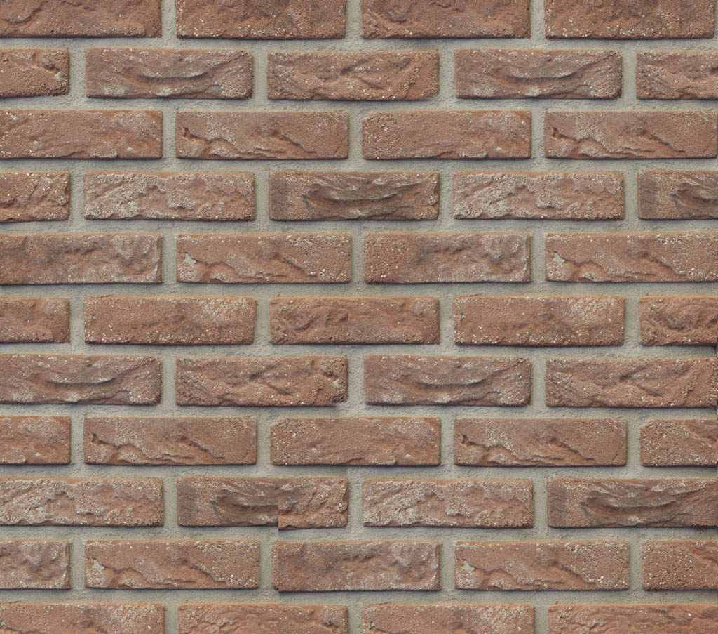 stegu_2025_137.jpg