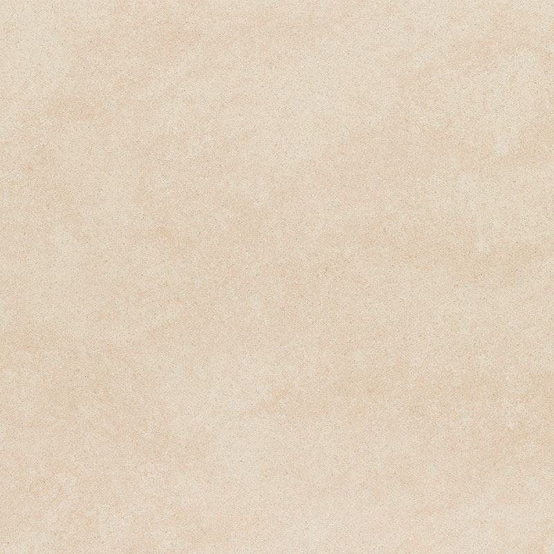 zala20191112_r_54.jpg